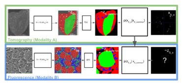 Neural Network Integration of Multimodal and Multiscale Cell imaging Using Semantic Parts